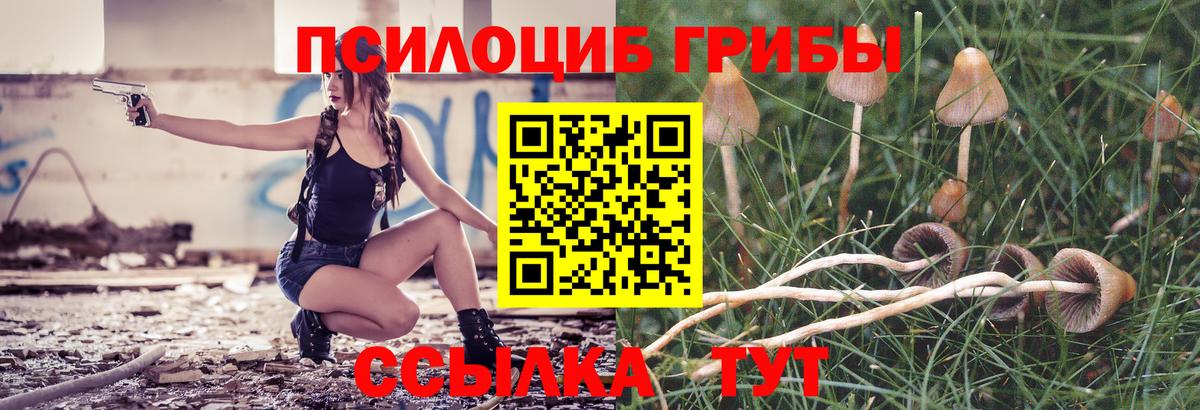 Алапаевск  Псилоцибиновые грибы Psilocybine cubensis  Псилоцибиновые грибы GOLDEN TEACHER  Вход с VPN 