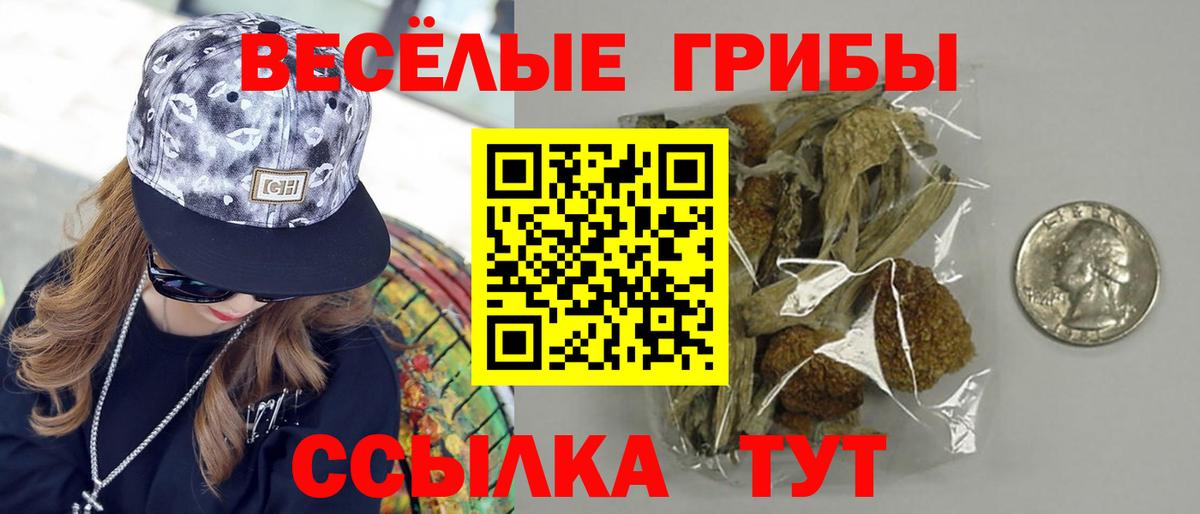 Псилоцибиновые грибы прущие грибы Алапаевск